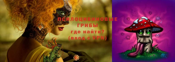 твердый Елизово