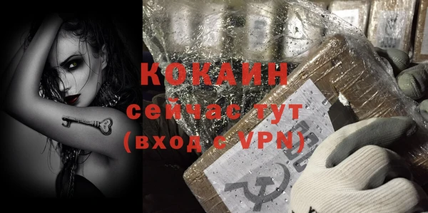 трава Ельня